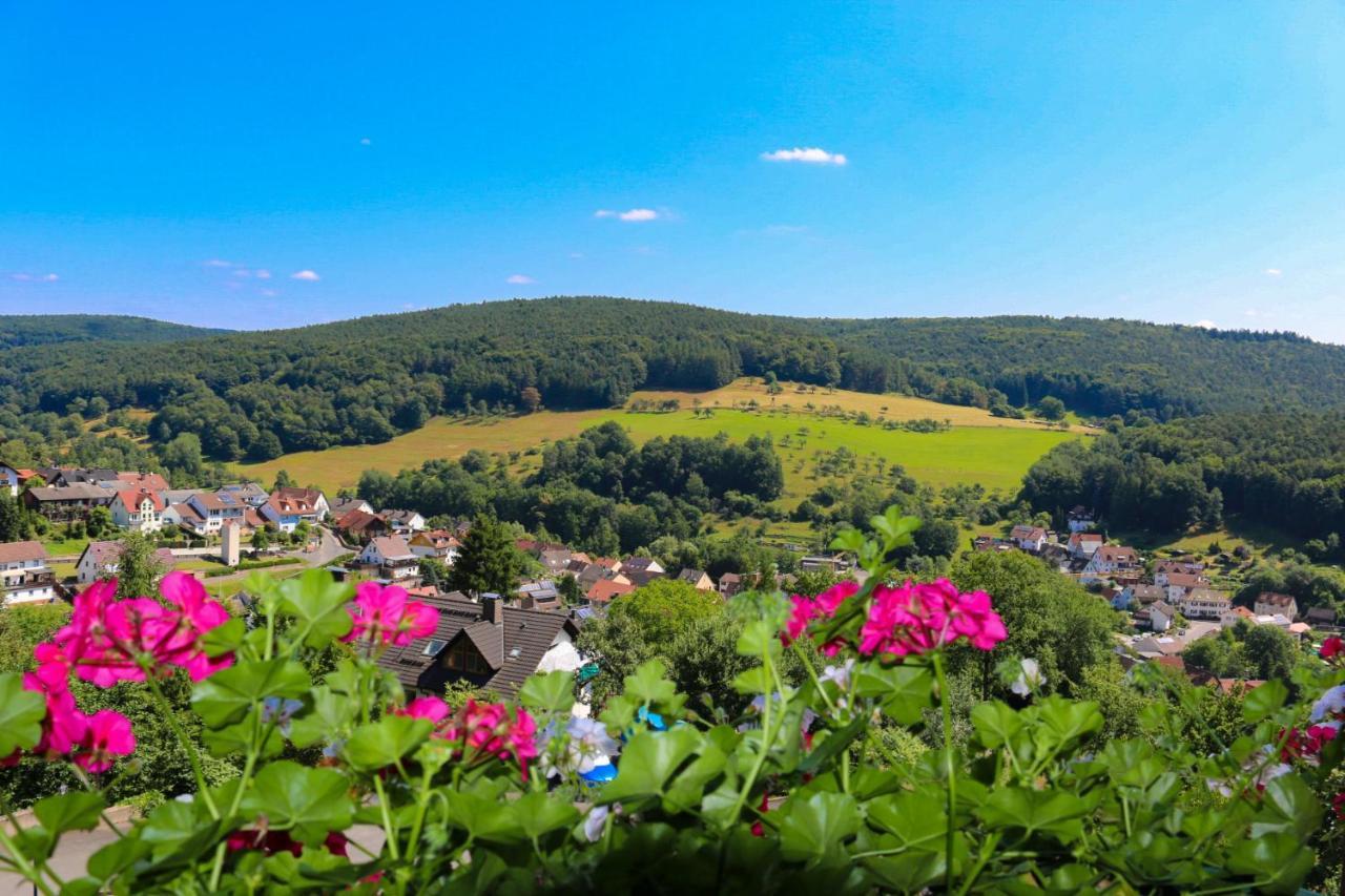 Panorama Hotel Heimbuchenthal Zewnętrze zdjęcie